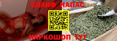 наркотики Гатчина