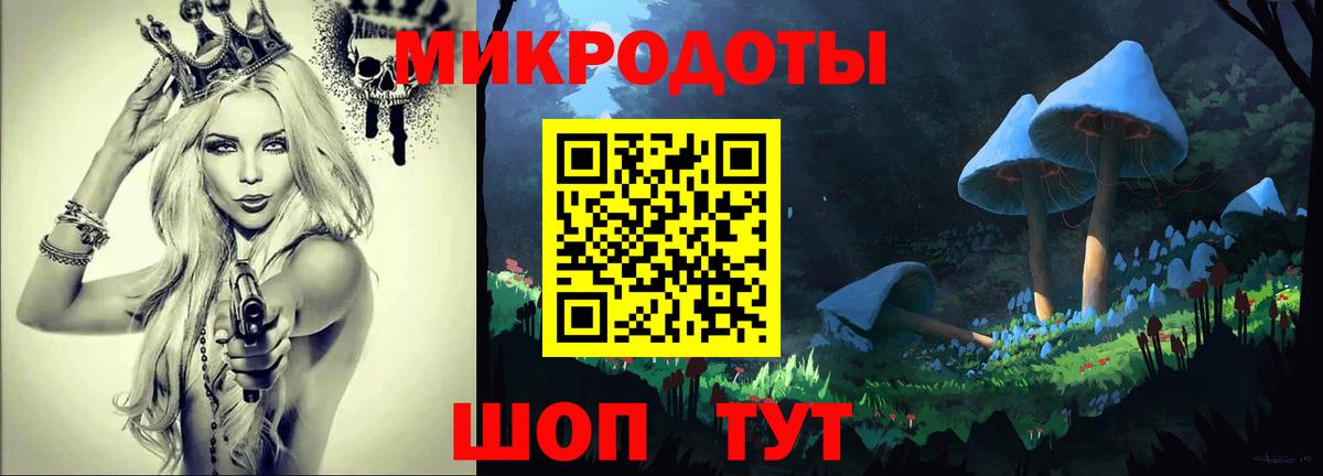 Псилоцибиновые грибы Psilocybine cubensis  Вход с VPN  Вышний Волочёк 